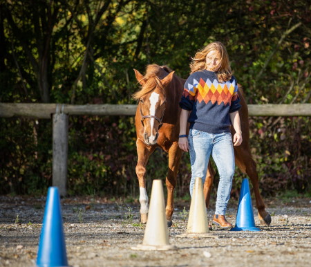 Pferdegestütztes Coaching - Ziele